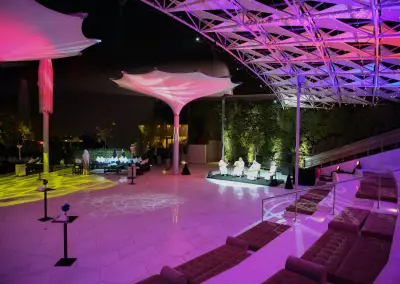 Cultural Oasis
