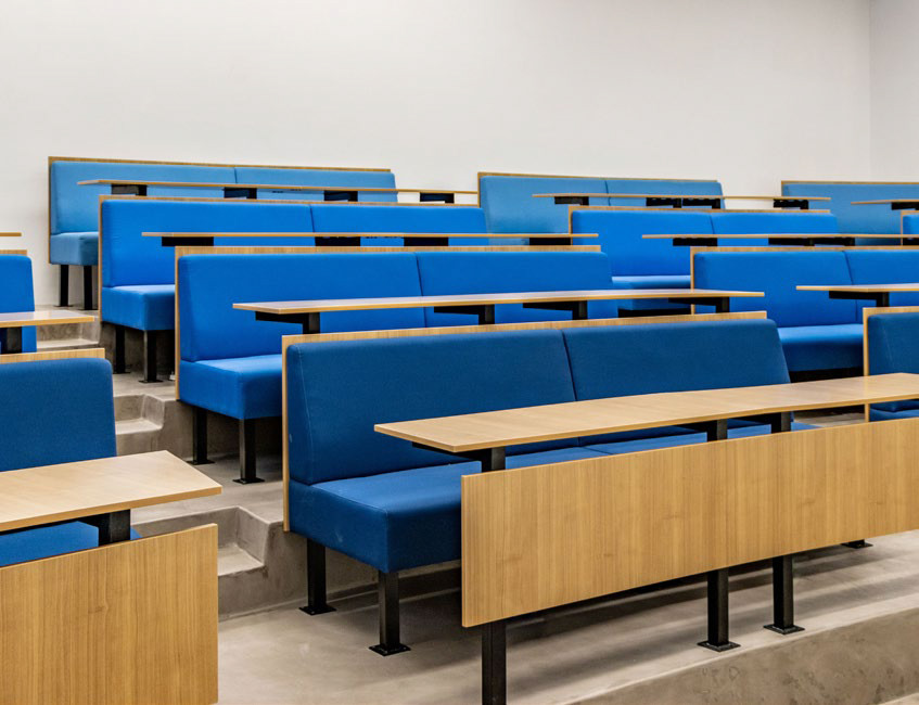 SEE institute