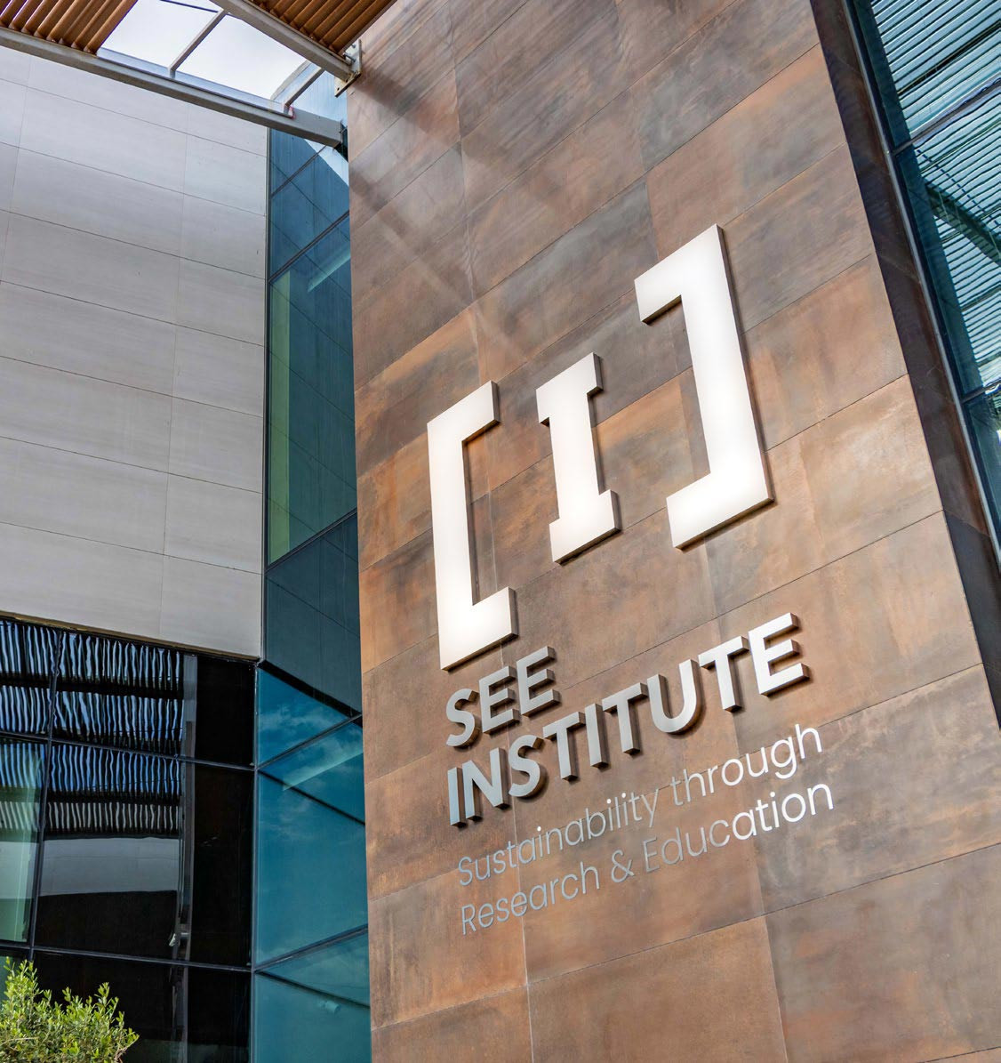 SEE institute