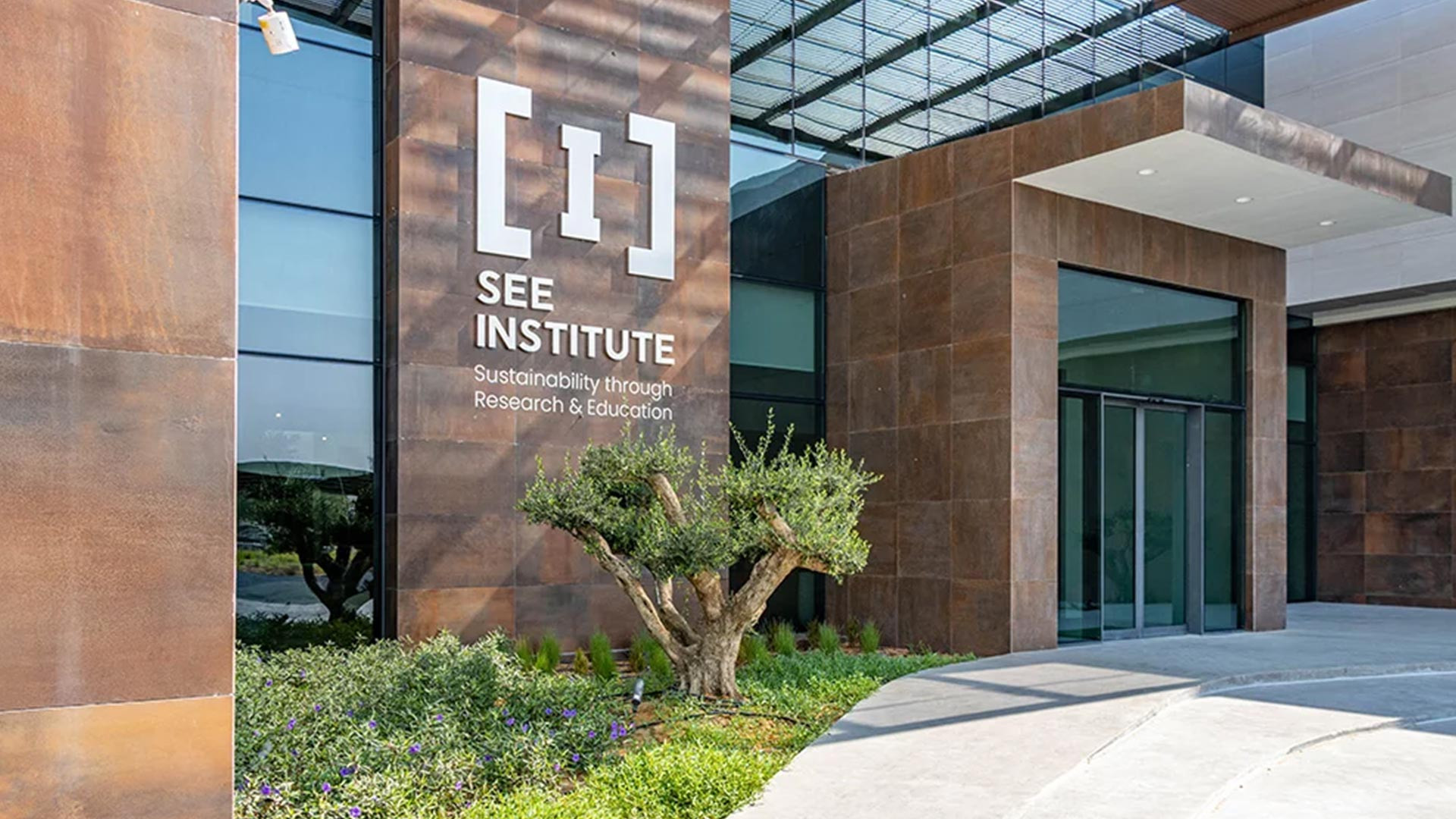 SEE institute
