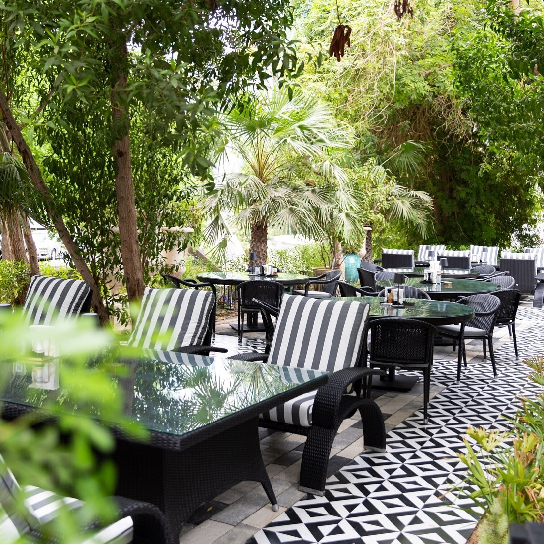 twisted-olive-naama-s-garden-event-venue-dubai