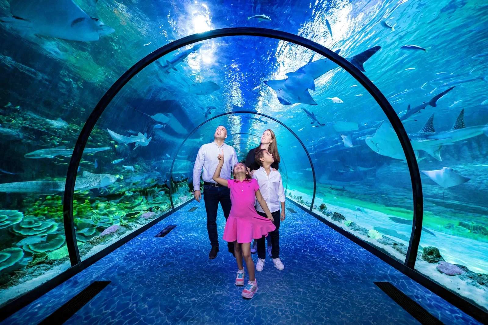 National Aquarium