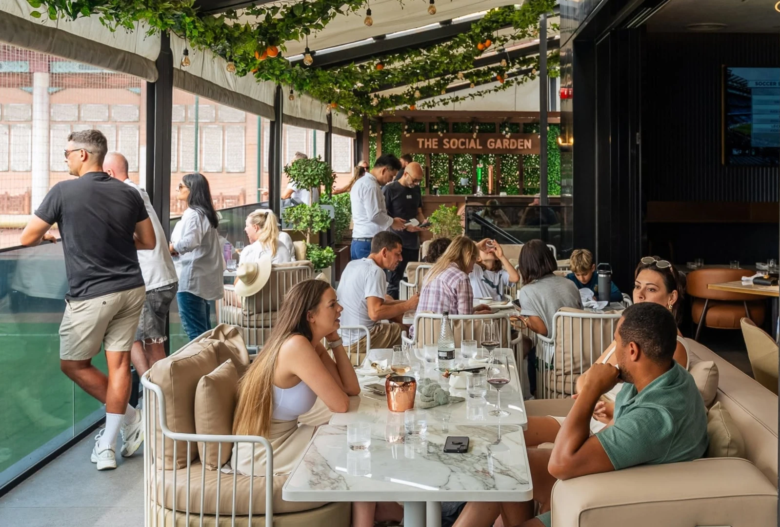Social Terrace